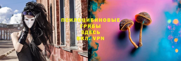 мяу мяу мука Аркадак