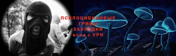 гашик Осинники