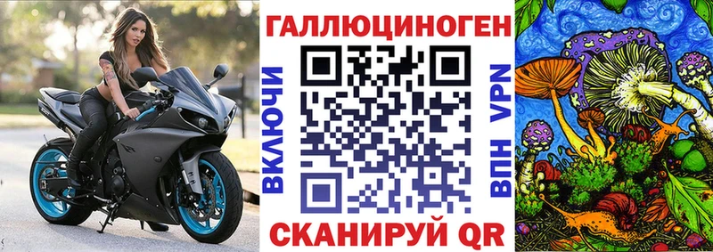 Псилоцибиновые грибы прущие грибы  где найти   omg зеркало  Темников 